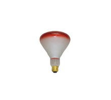 Imagen WW-FLHT-3