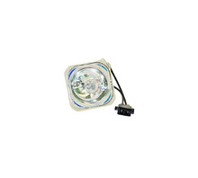 Imagen WW-AVBE-1