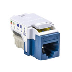 RJ45FC5E-BLU